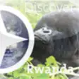Icon of program: Discover Rwanda