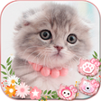 Icon of program: Cute Cat Live Launcher Th…