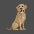 Icon of program: Brave Puppy