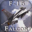 Icon of program: F-16 Fighting Falcon - Co…