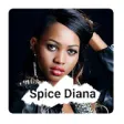 Icon of program: Spice Diana Music App - T…