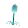 Icono de programa: CRISPR Defense