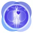 Icon of program: Anatomy Human Body Organs