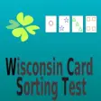 Icon of program: Wisconsin Card Sorting Te…