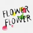Icon of program: FLOWER FLOWER