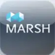 Icon of program: Marsh Risk Management Res…