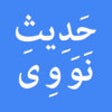 Icon of program: 40 Hadith e Nawawi with E…