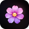 SakuraFlow :  Ai Video Create icon