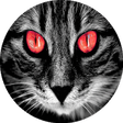 Icon of program: Povesti de Groaza Creepy …