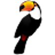 Icon of program: Toucan