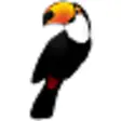 Icon of program: Toucan
