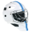 Icon of program: Virtual Goaltender Lite