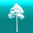 Icono de programa: Arboreal - Height of tree