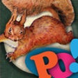 Icon of program: PopOut! The Tale of Squir…