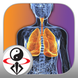 Icon of program: Qigong Breathing Video Le…