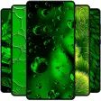 Icon of program: Green Wallpaper