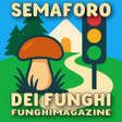 Icon of program: Semaforo dei Funghi