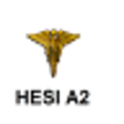 Icono de programa: Nursing HESI A2