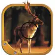Icon of program: Deer Hunt Rapid Shooting
