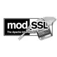 Icon of program: Mod SSL for Linux