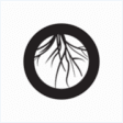 Icon of program: Roots Church for Windows …