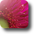 Icon of program: Perfect Resize Standard E…