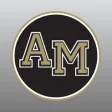 Icon of program: AMHS Athletics