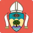 Icon of program: Roman Catholic Diocese of…