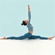 Icon of program: 30 Day Splits Challenge