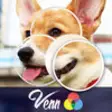 Icon of program: Venn Dogs: Overlapping Ji…