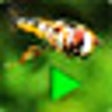 Icon of program: As Simple As Photoshop