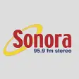 Icon of program: Radio Sonora 95.9 FM