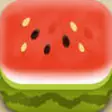 Icon of program: Catch the Melon