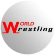 Icon of program: World Wrestling Italia