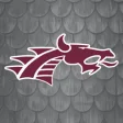 Icon of program: Collierville Dragons Athl…