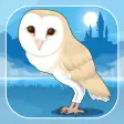 Icon of program: Owl Simulation Game
