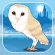 Icon of program: Owl Simulation Game