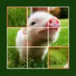 Icon of program: Animal Jigsaw Puzzle - Ul…
