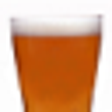 Icon of program: Beer Language Guide and Q…