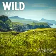 Icon of program: Wild Guide Wales