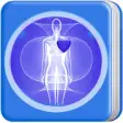 Icon of program: Anatomy of Human Body Org…