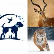Icon of program: Animals  Information