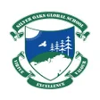 Icono de programa: Silver Oaks Global School