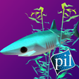 Icon of program: PI VR Oceans