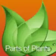 Icon of program: Parts of Plants