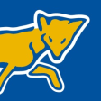 Icon of program: LCFCFoxes