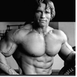 Icono de programa: Bodybuilding for Beginner…