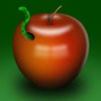 Icon of program: Grade A+