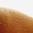 Icon of program: Smart Skin Cancer Detecti…