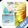 Icon of program: Easy Collage Lite